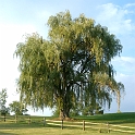 Scenery Montville Duchek 4374